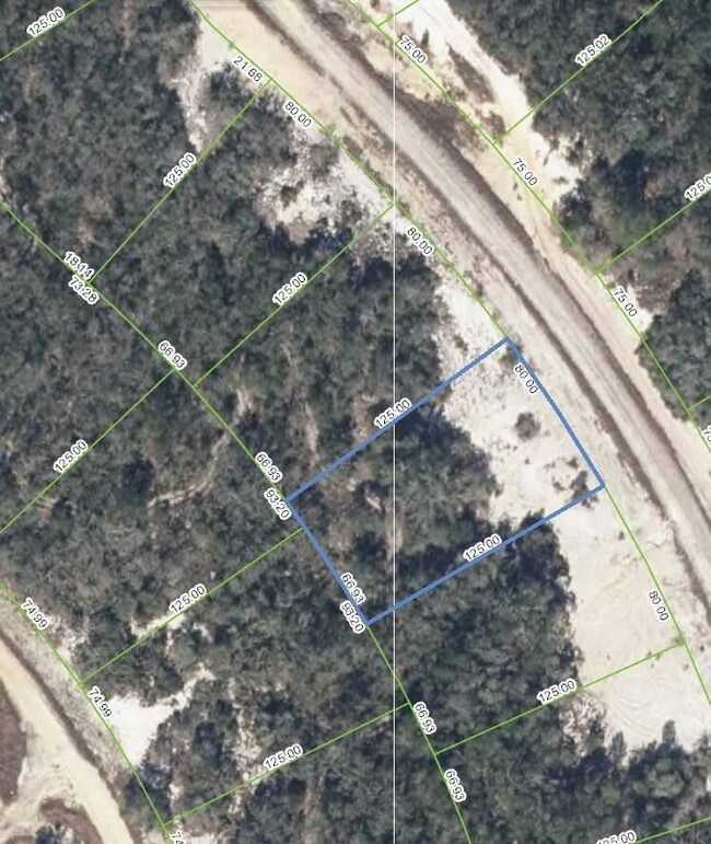 248 Dargen Dr, Lake Placid, FL 33852 - photo 2