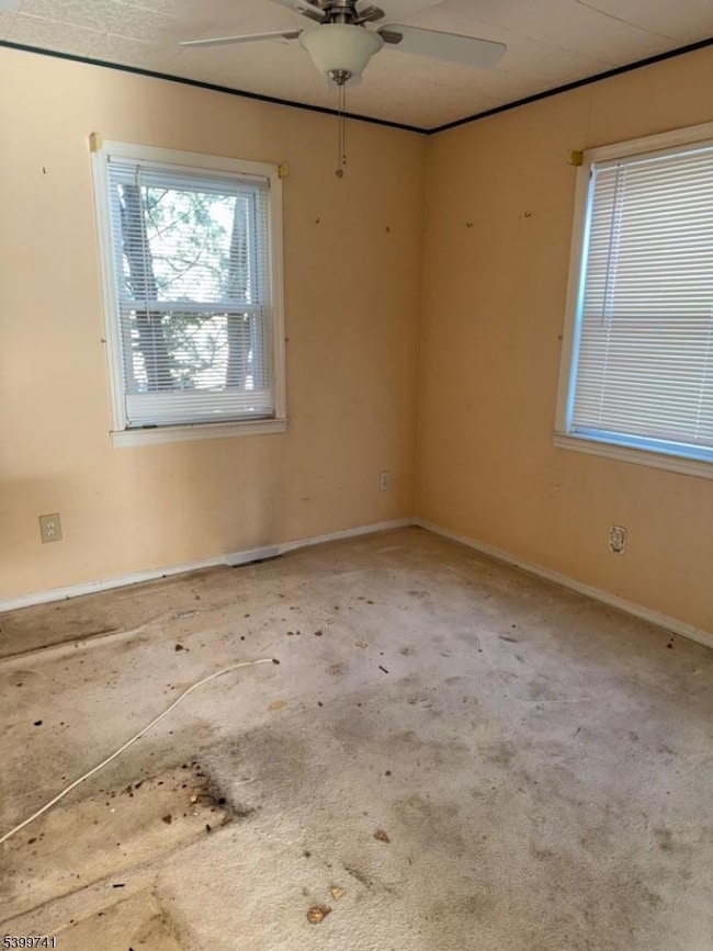 6 Maple Ln, Hampton, NJ 08827 - photo 7