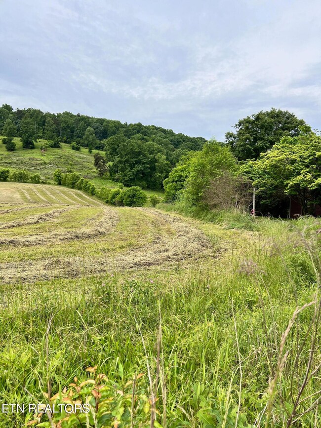 Tract 2 Highway 92, Rutledge, TN 37861 - photo 4