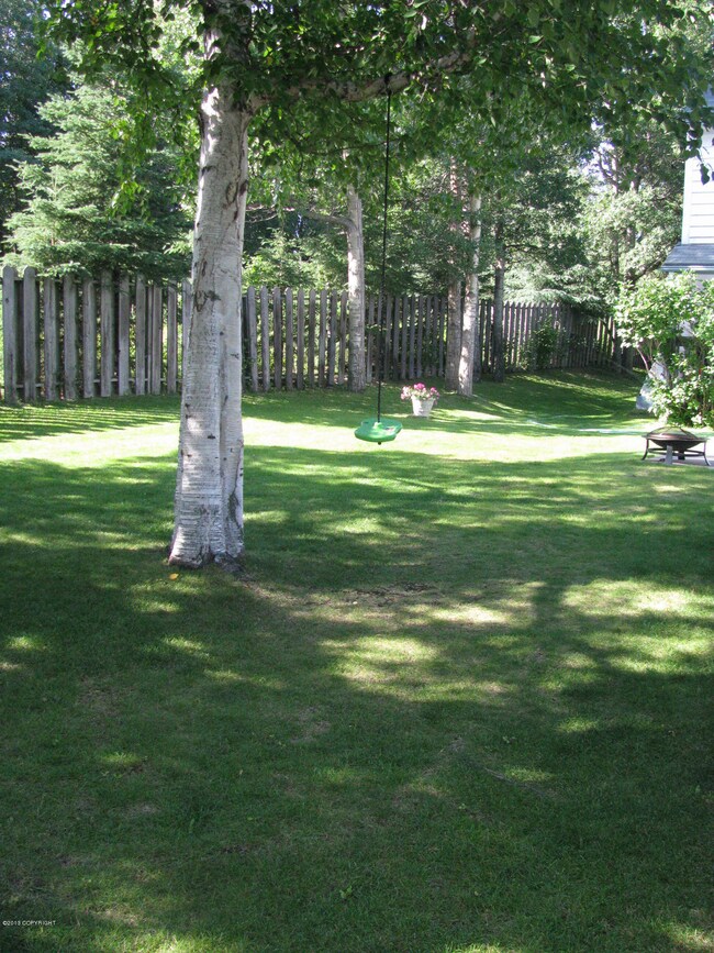 IMG_2009 (2)