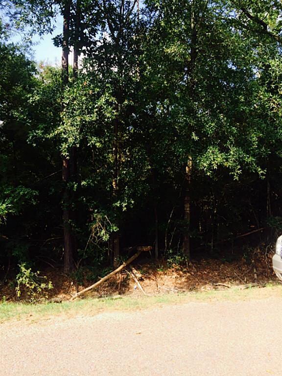 0 Friendship Ln, Conroe, TX 77385 - photo 2