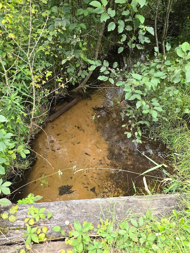 10.11 Acre Golden Rd SE unit 10.11 Acre, Kalkaska, MI 49646 - photo 2