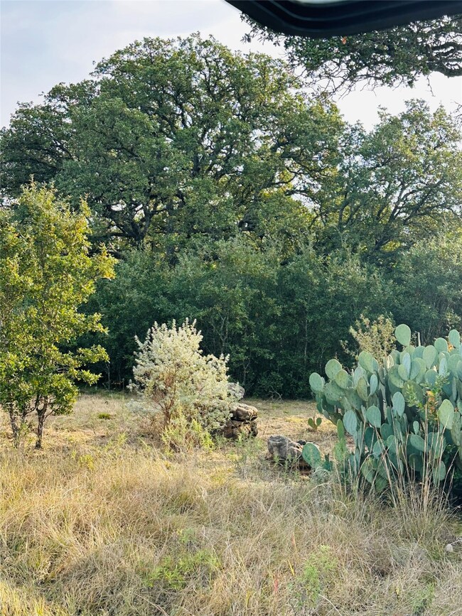 951 Fm 573 S, Mullin, TX 76864 - photo 6