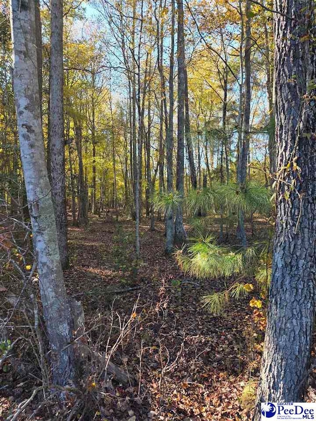 0000 S Carolina 265, Ruby, SC 29741 - photo 3