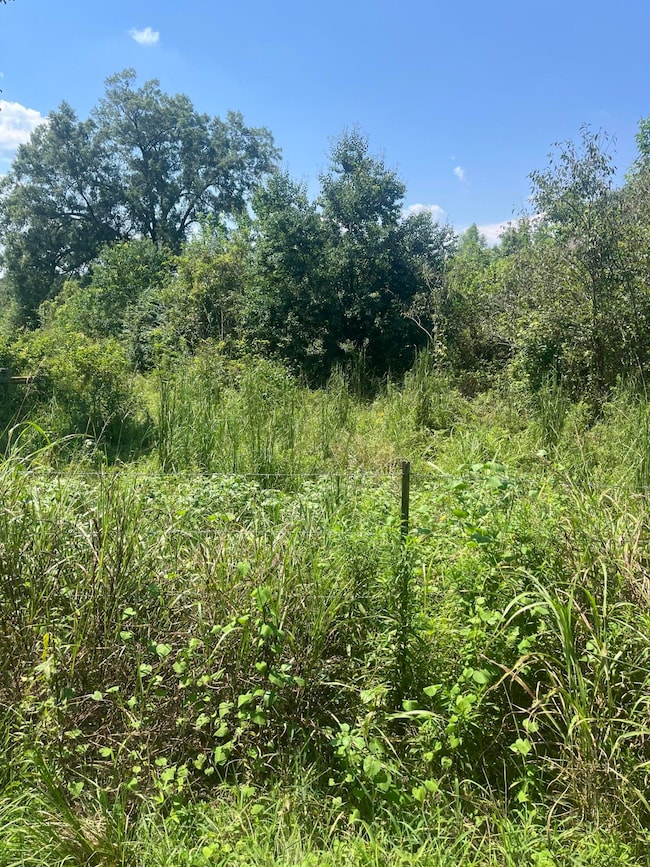 0 George Boutwell Rd, Ovett, MS 39464 - photo 7