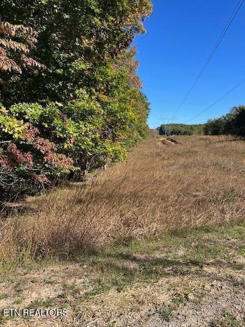 8+9 Slack Place, Monterey, TN 38574 - photo 2