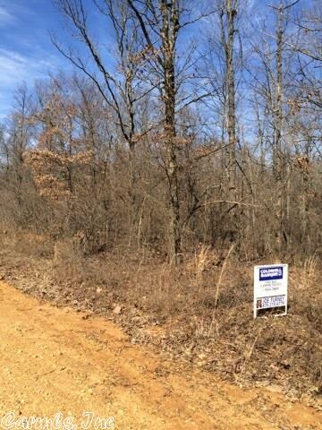 40 Acres County Road 766, Jonesboro, AR 72401 - photo 3