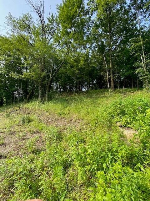 156 Schefflers Rd, Minisink, NY 10998 - photo 5