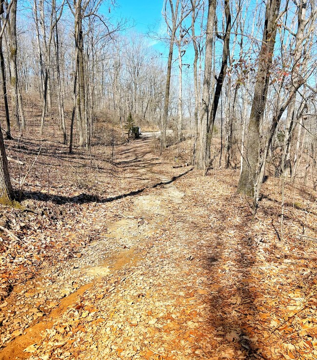 0 Browbend Dr unit 1509737, Guild, TN 37340 - photo 4