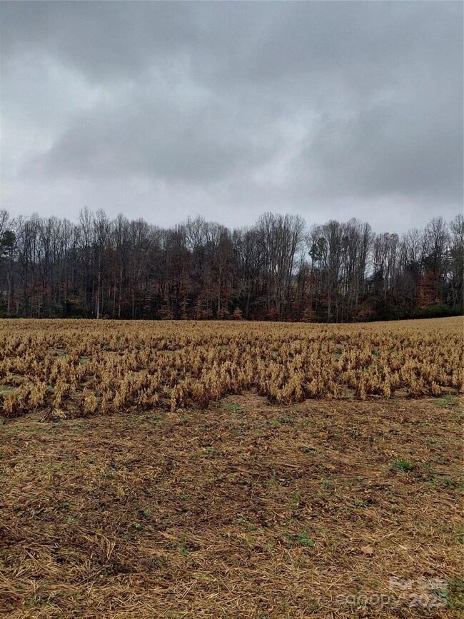 000 Hamlet Rd, Harmony, NC 28634 - photo 5