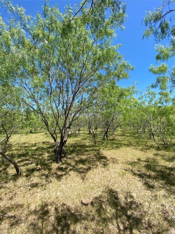 Lot 10 TBD Fm 1181, Ennis, TX 75119 - photo 7