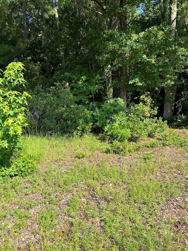 1002 Sterling St, Sumter, SC 29153 - photo 3