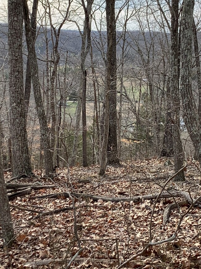 0 Hester Beasley Rd unit RTC2498520, Nashville, TN 37221 - photo 7