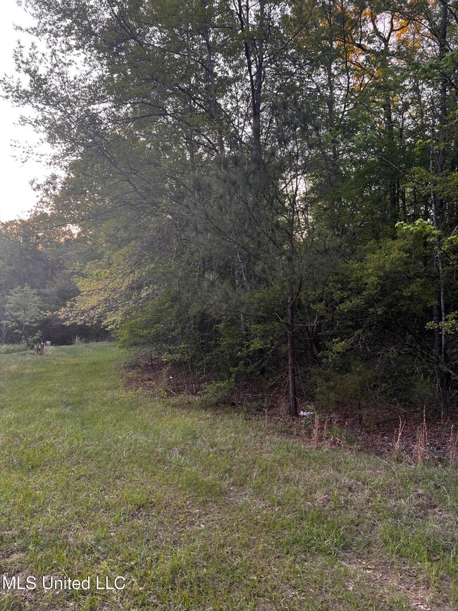 1923 Attala Rd, Goodman, MS 39079 - photo 4