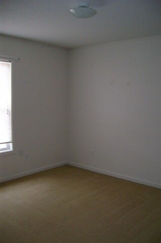 155A Lakewood Dr, Jacksonville, NC 28546 - photo 4