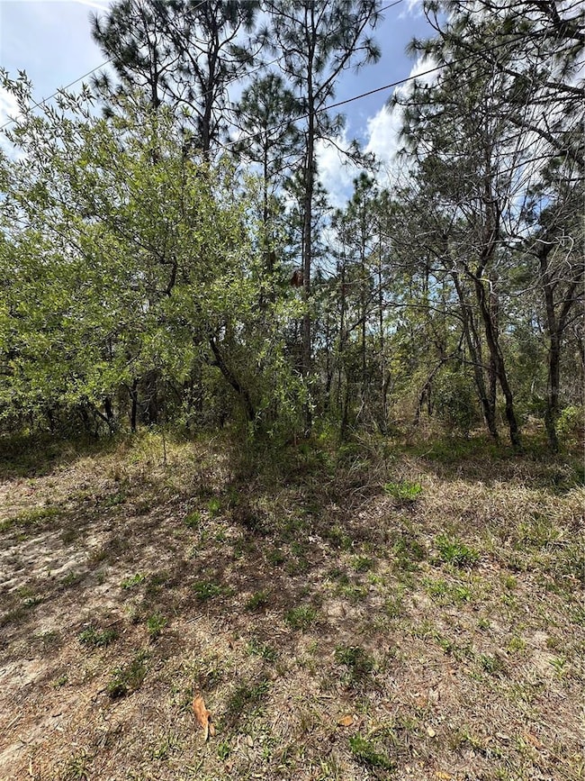 2 Fringetree Ct, Homosassa, FL 34446 - photo 3