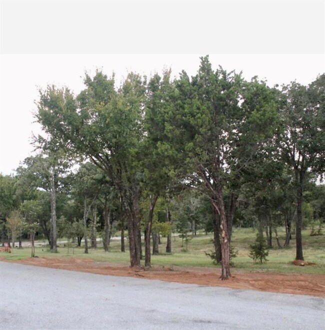 324 Arborview Dr, Weatherford, TX 76485 - photo 7