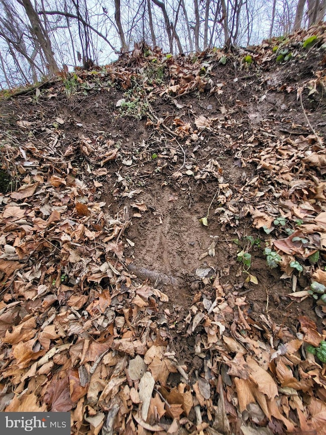 Lot 29 & 30 Sugar Maple Ln, Shannondale, WV 25425 - photo 3