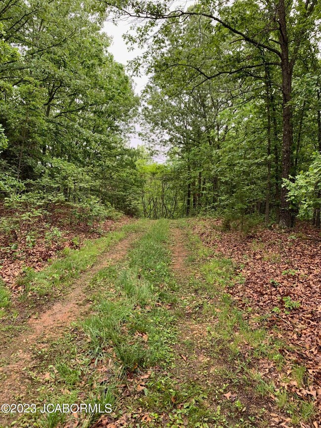 Land photo 3