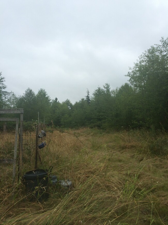 123 Center Rd, Quilcene, WA 98376 - photo 3