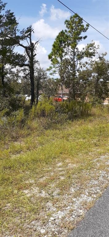 Lot  5 Convent Garden Rd, Weeki Wachee, FL 34613 - photo 4