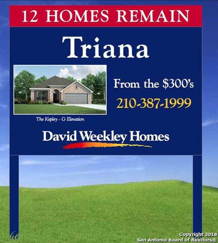 16922 Kinmount Ln, Helotes, TX 78023 - photo 4