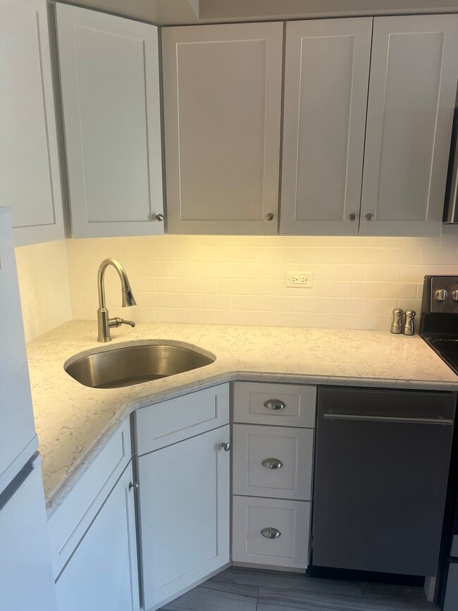 255 S West Ave unit 413, Elmhurst, IL 60126 - photo 3