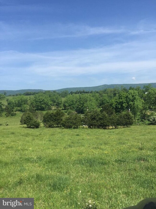 0 Not On File unit 1003289369, Maurertown, VA 22644 - photo 4