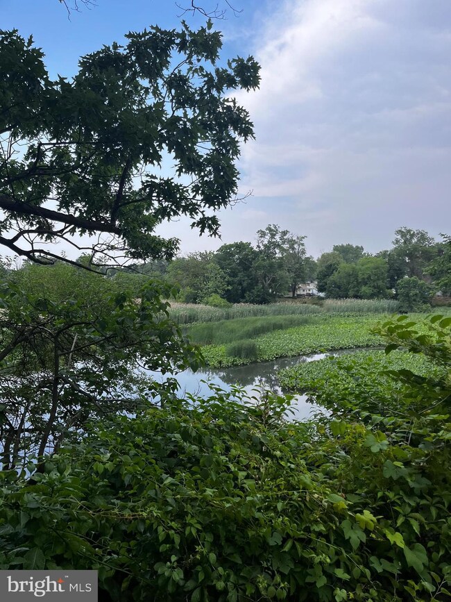 3608 Maryland Ave, Pennsauken, NJ 08109 - photo 4