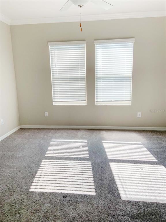 31563 Blue Passing Loop, Wesley Chapel, FL 33545 - photo 5