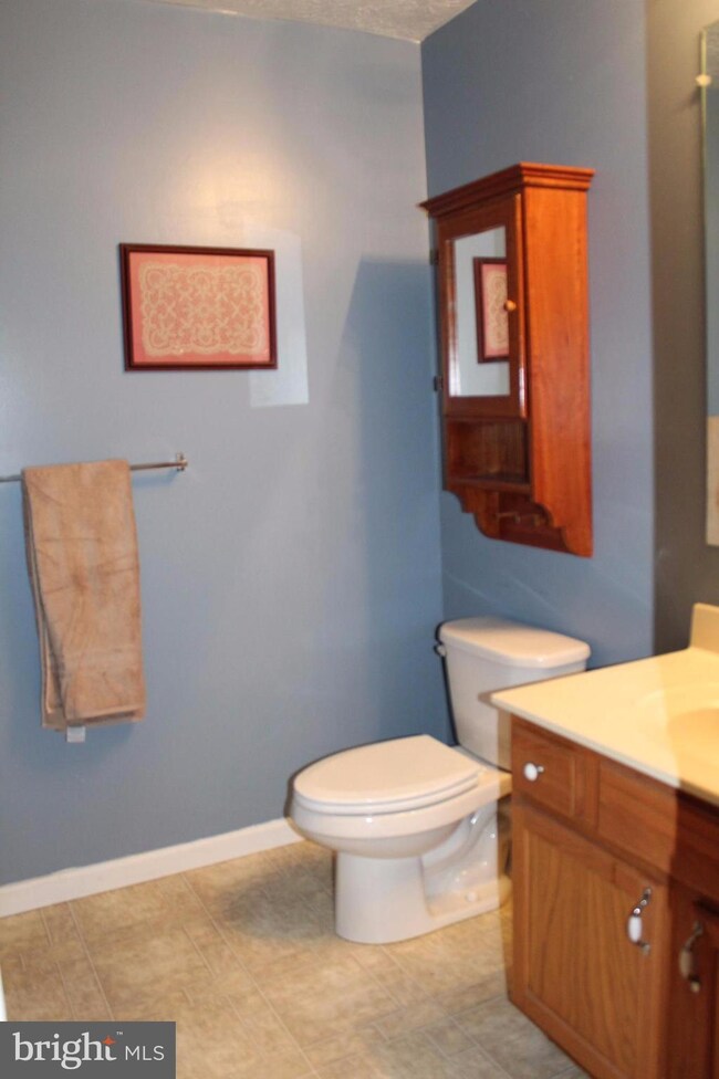 110 Nature Dr, Stephens City, VA 22655 - photo 7