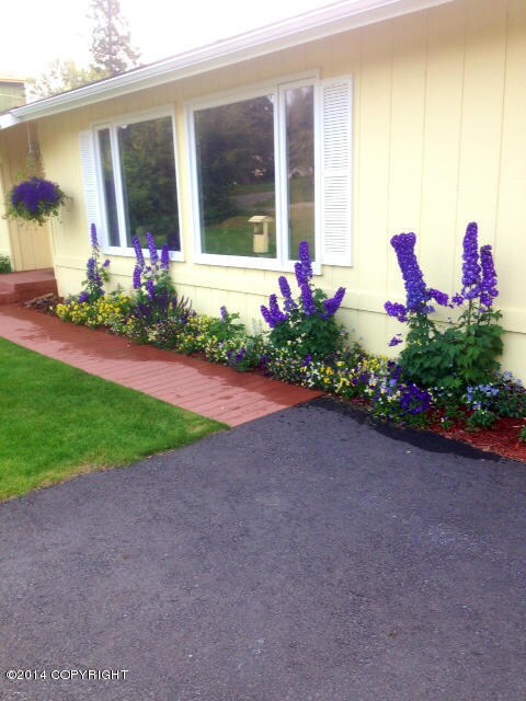 Front Flowers in Bloom