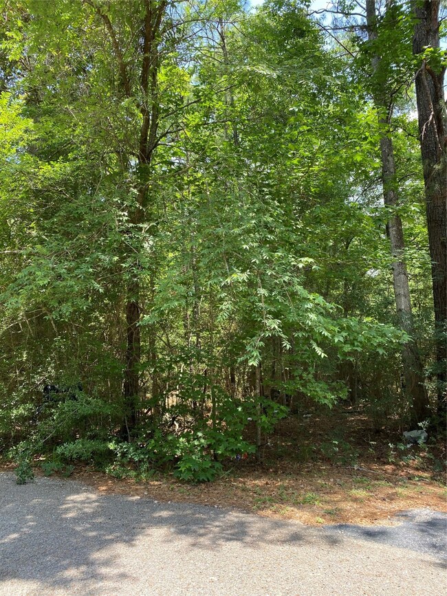 6503 Skylight Ln, Magnolia, TX 77354 - photo 7