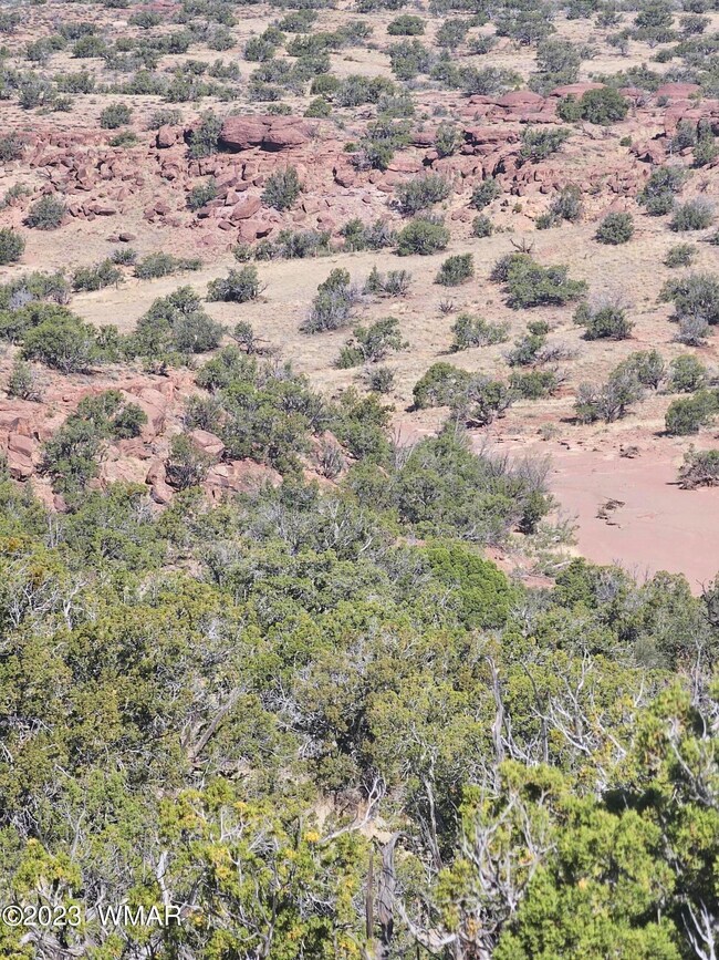 0 N6448, St. Johns, AZ 85936 - photo 4