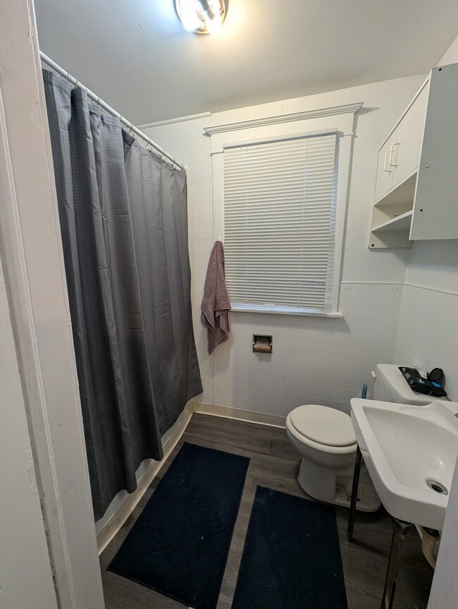 226 W Locust St, Dekalb, IL 60115 - photo 6