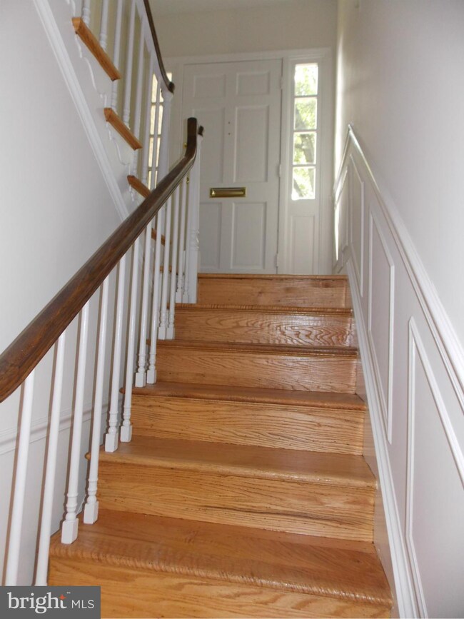 3559 Hamlet Place, Chevy Chase, MD 20815 - photo 4