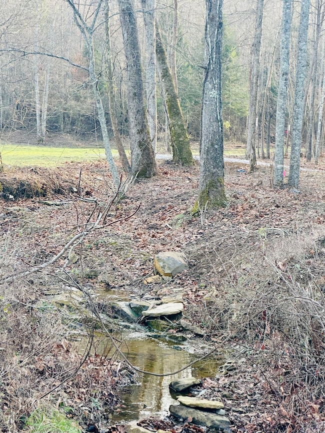 Lot 6 Hensley Rd, East Bernstadt, KY 40729 - photo 7