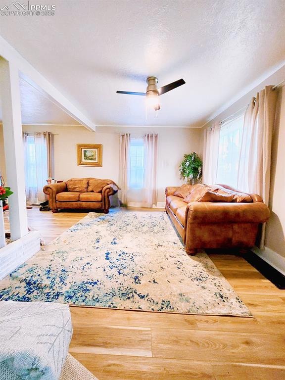 Living area featuring a ceiling fan, wood finished