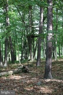 0 Oak Hill Rd unit 1000146823, Moorefield, WV 26836 - photo 2