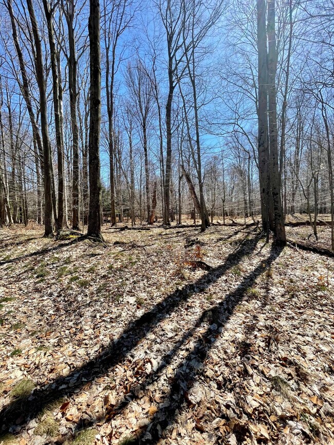 0 W Nanninga Dr unit 19, Ludington, MI 49431 - photo 7