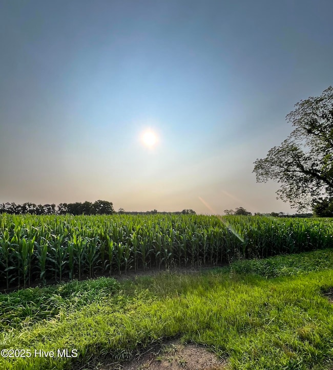 0 Hobbton Hwy unit 100510708, Newton Grove, NC 28366 - photo 3