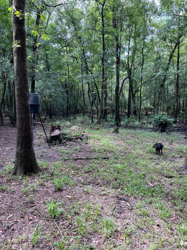 Deer Plot
