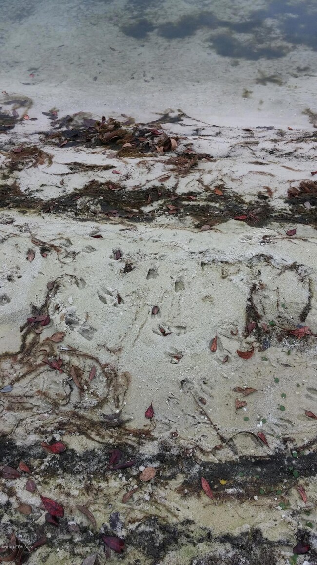 Neighbors Lake Bottom