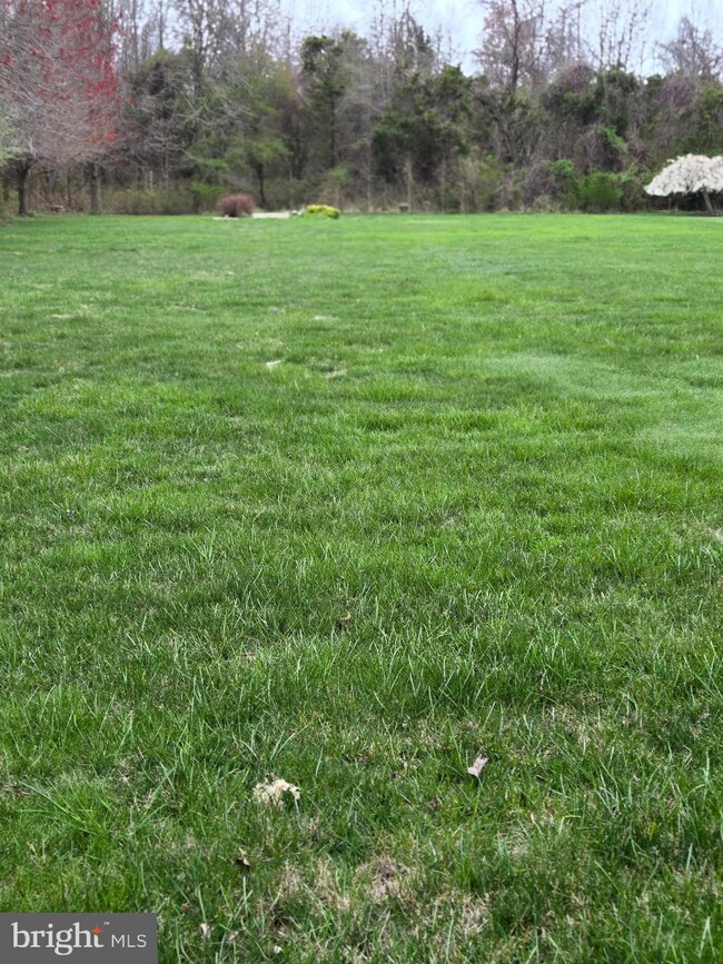 313 Queens Colony High Rd, Stevensville, MD 21666 - photo 2