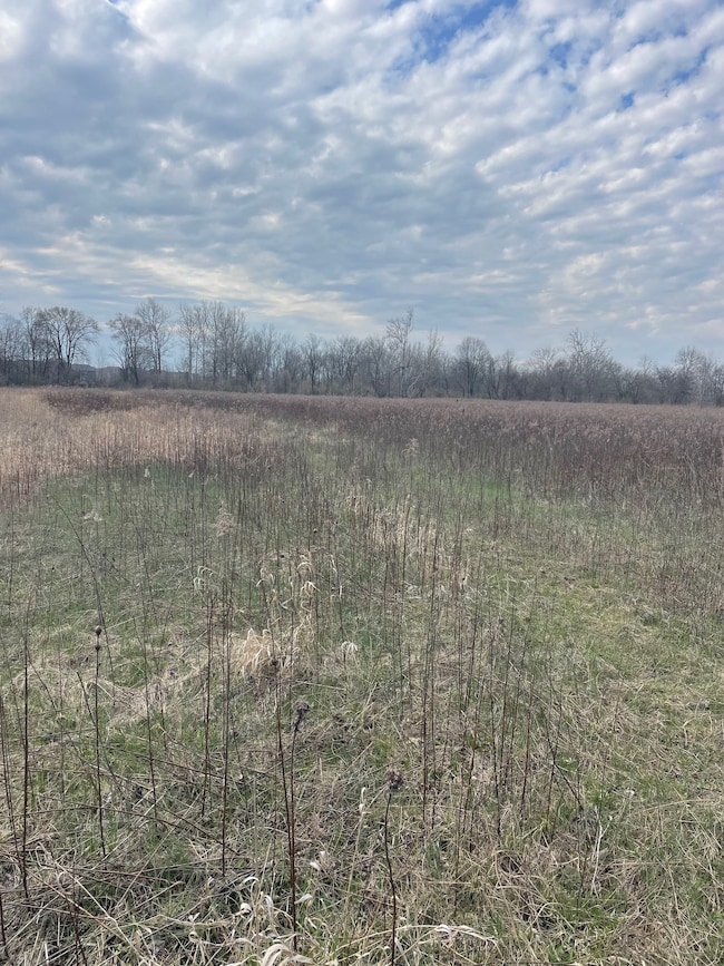 17444 Little Eagle Creek Ave, Westfield, IN 46074 - photo 4