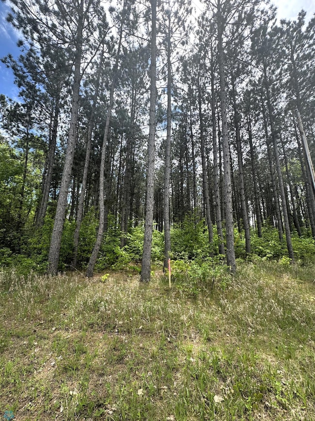 (Lot 5) TBD Waterfront Ln, Little Elbow Township, MN 56569 - photo 3