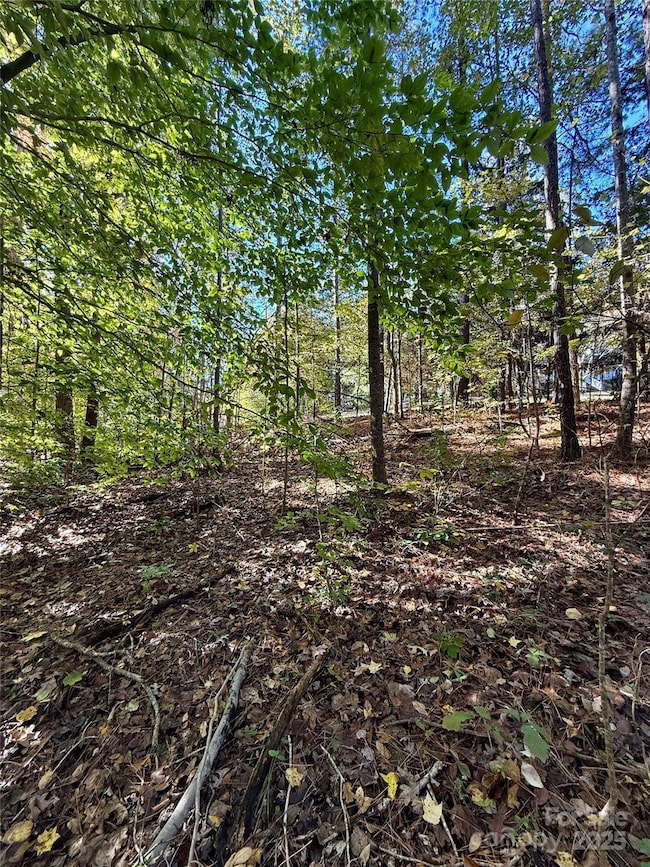 00 Southwinds Ct unit 24, Rock Hill, SC 29730 - photo 4