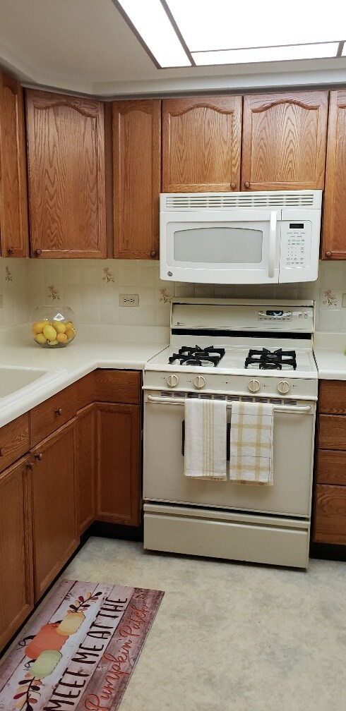 820 Graceland Ave unit 405, Des Plaines, IL 60016 - photo 3