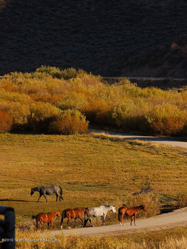 Fall Creek Ranch