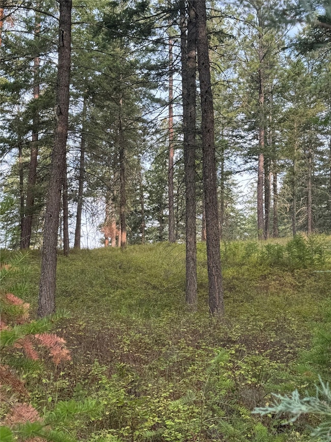 Nhn Rocky Point Rd, Polson, MT 59860 - photo 3